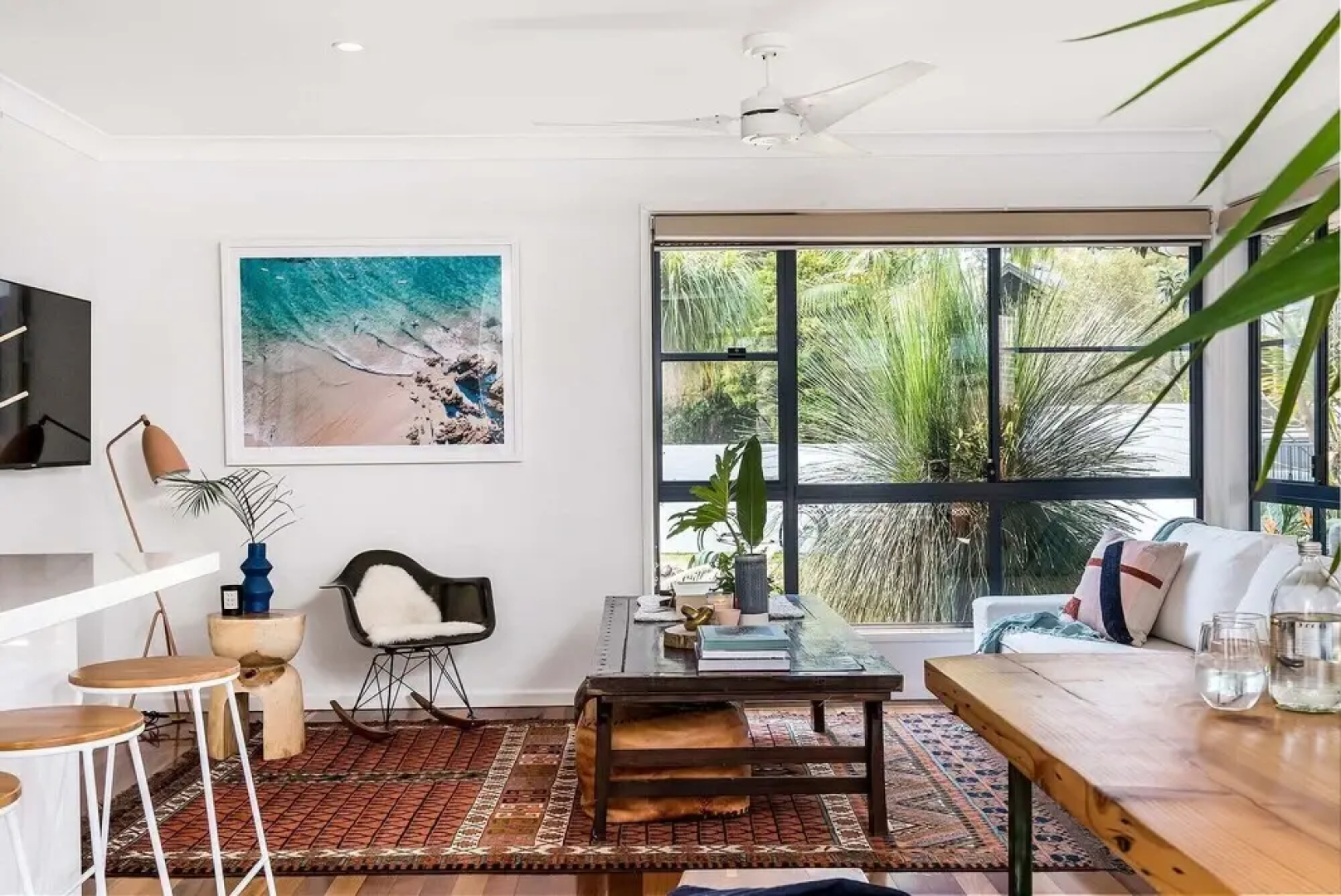 Bangalow Palms