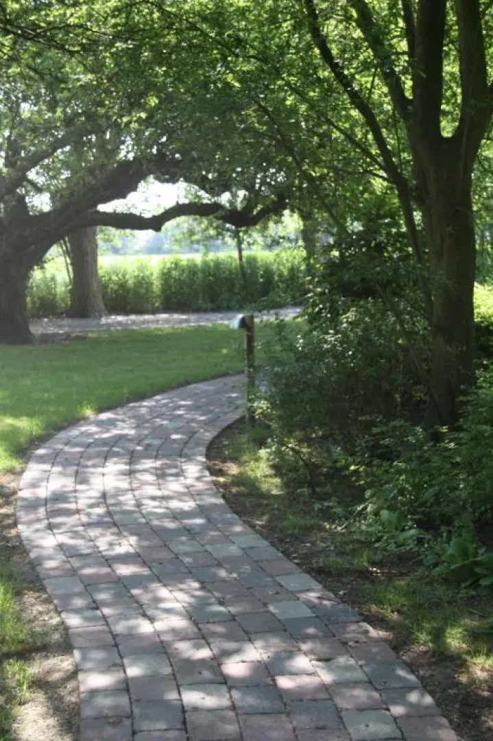 Bachstelze - [#29090]