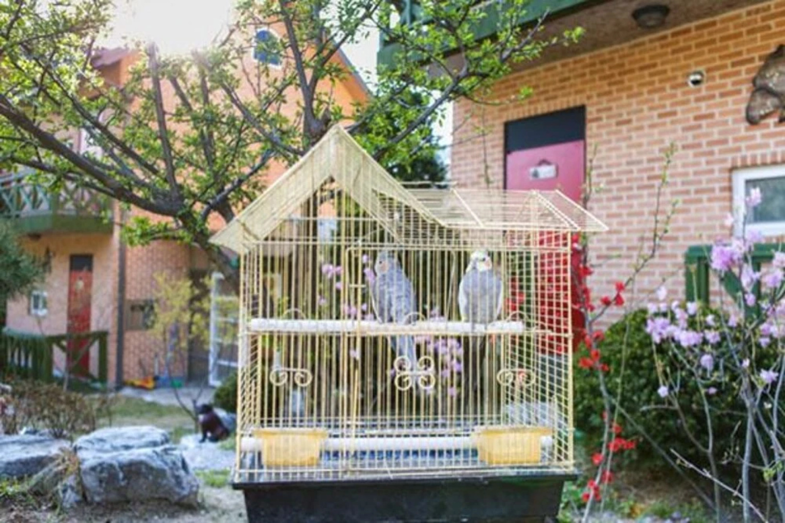 Yangpyeong Only U Pension