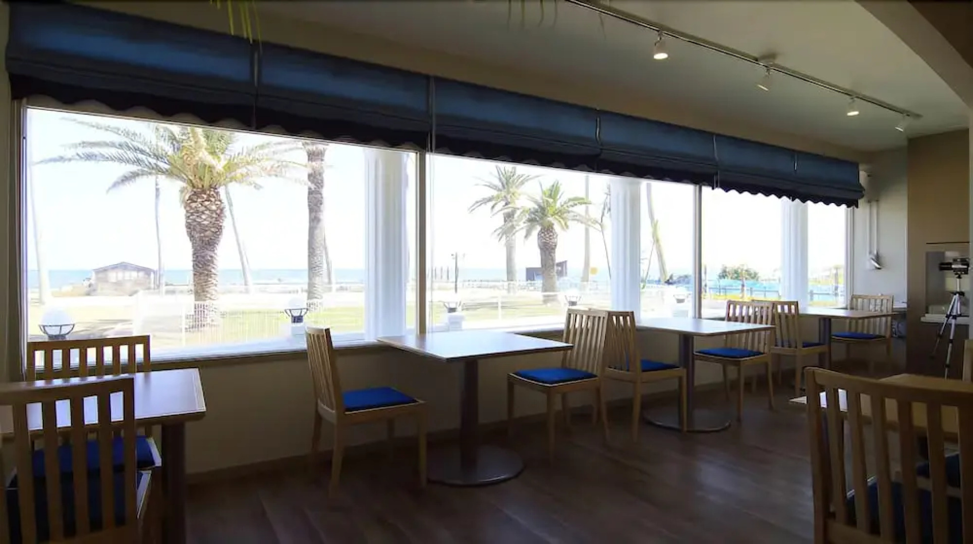 Marine Blue where you can stay with dogs