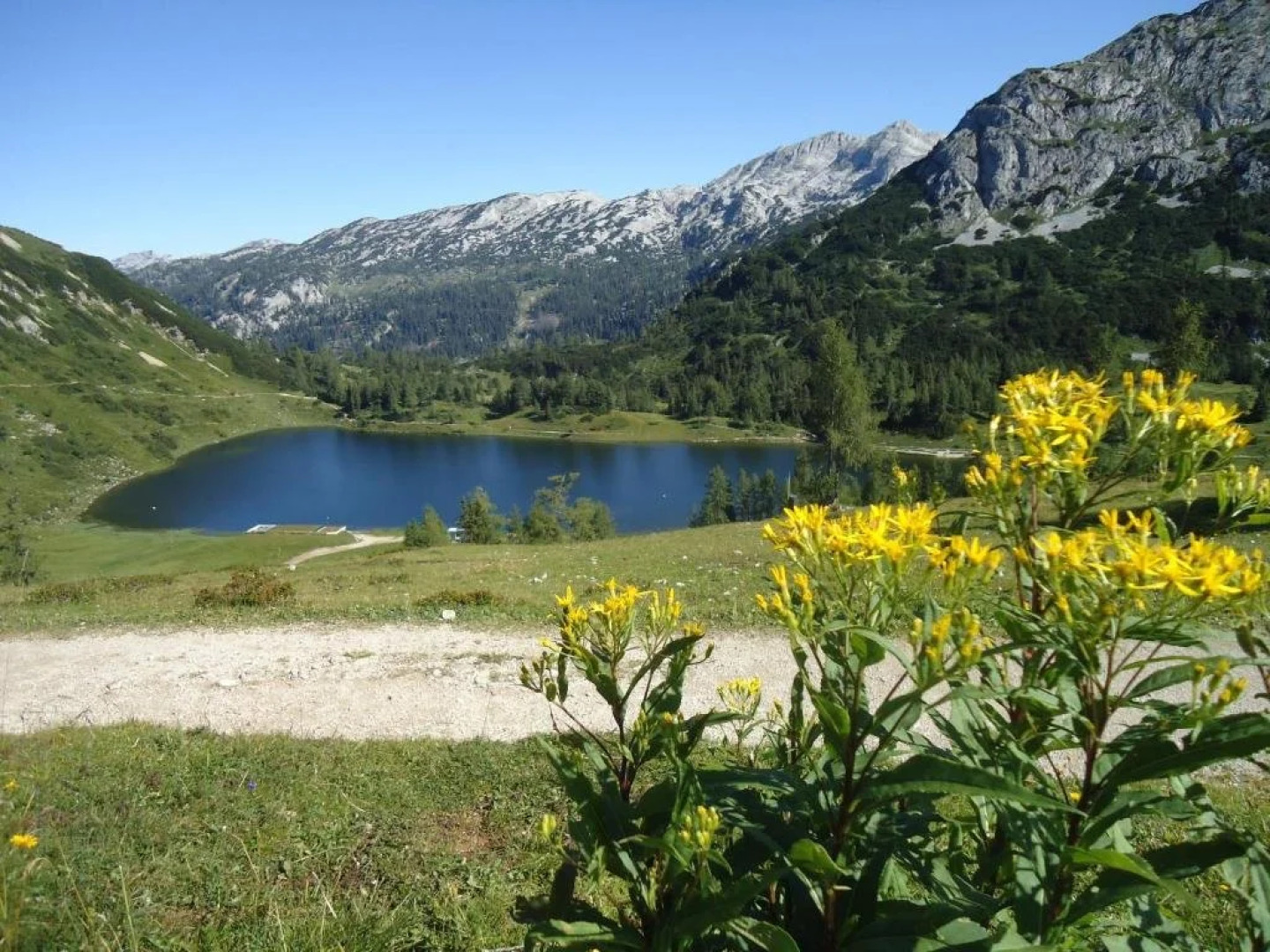 Ferienwohnung Hierzegger