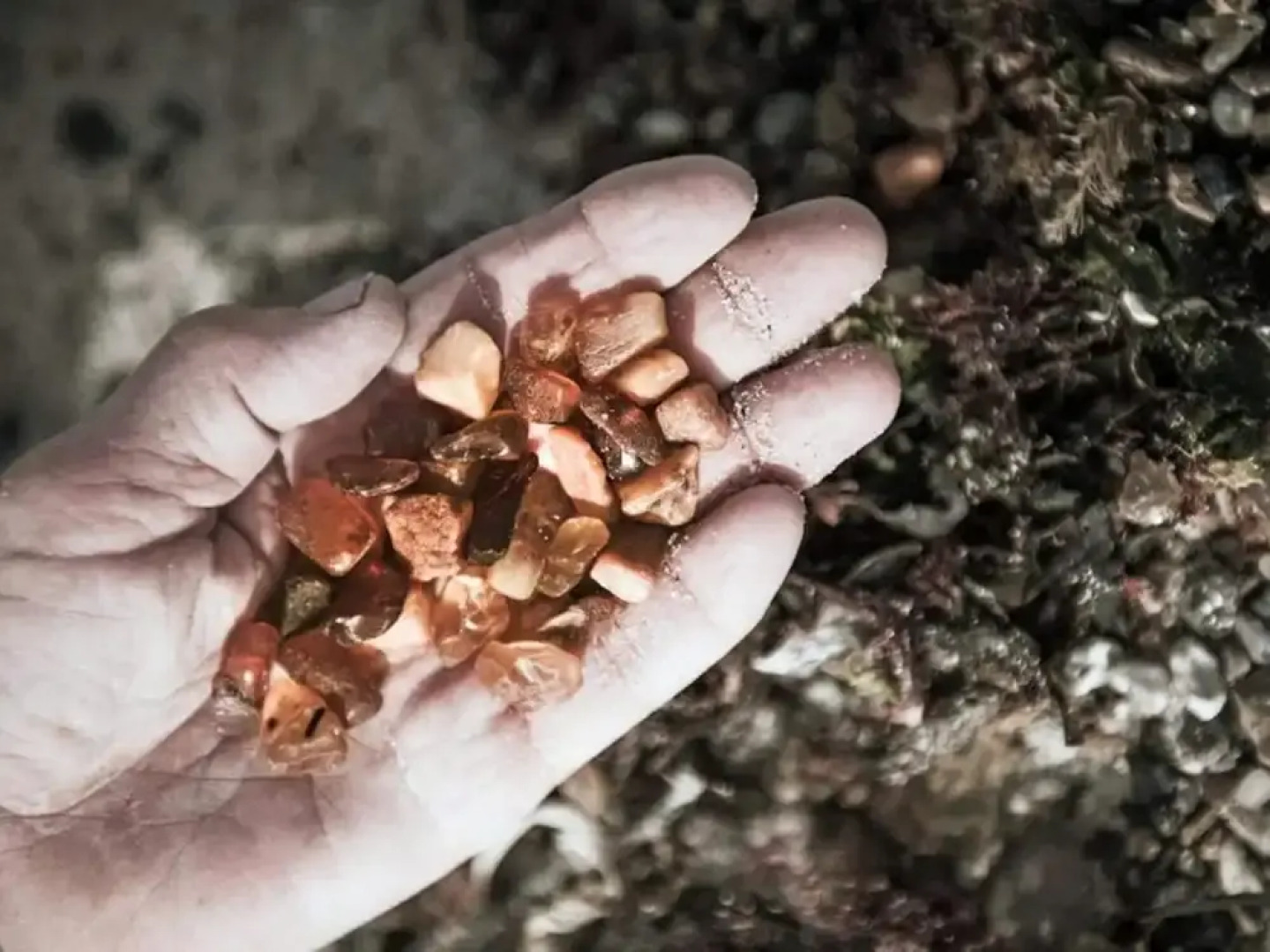 4 Star Holiday Home in Thyboron