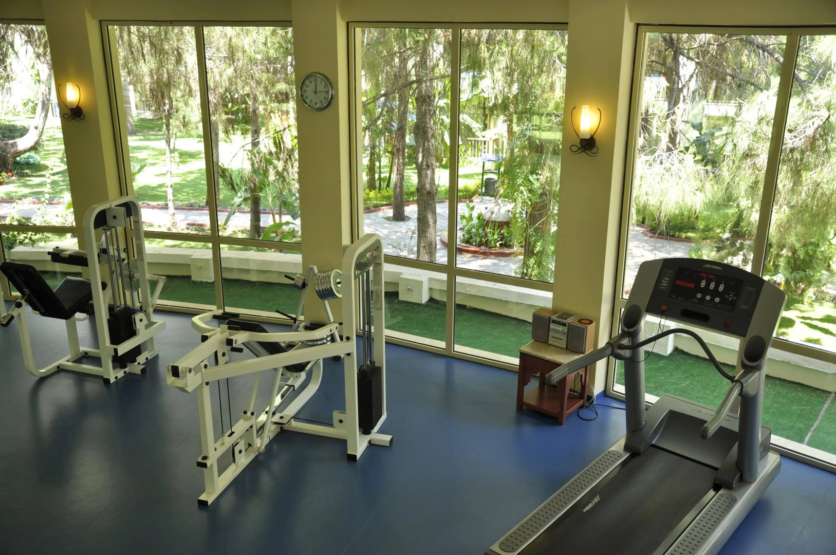 Gypsophila Club Marine