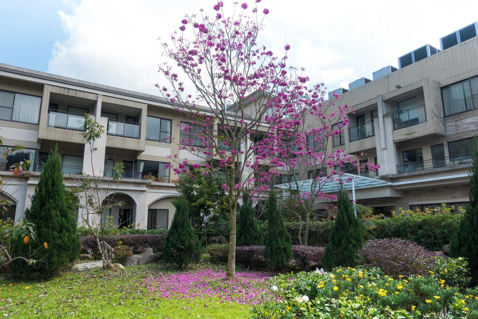 Tai Yi Red Maple Resort