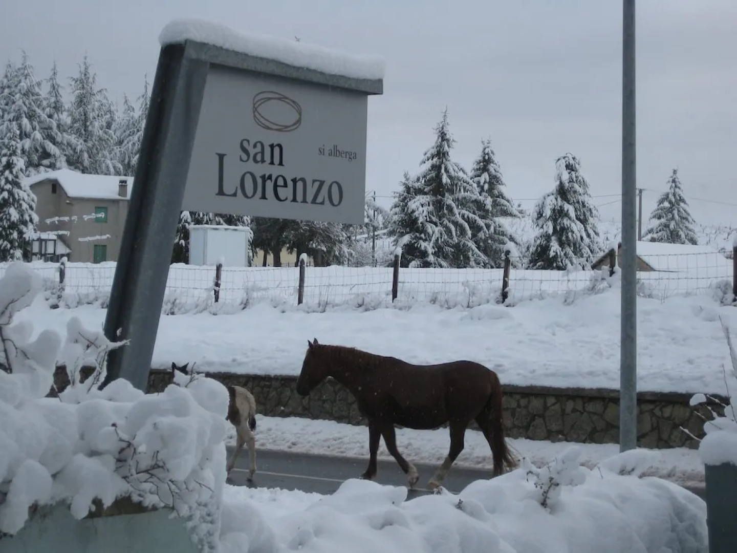 San Lorenzo Si Alberga