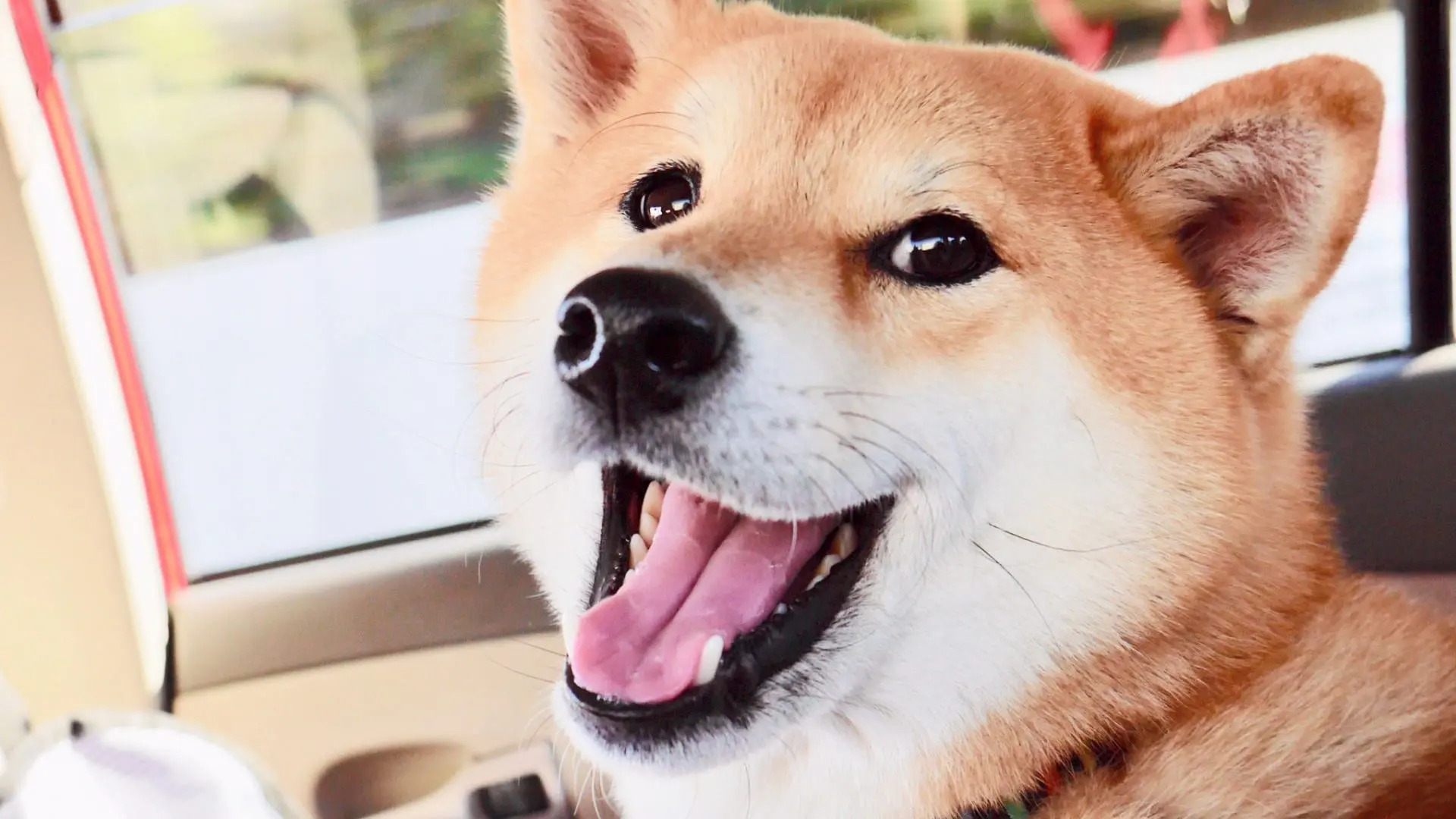 Shugyoku no Yu Yakushido Onsen