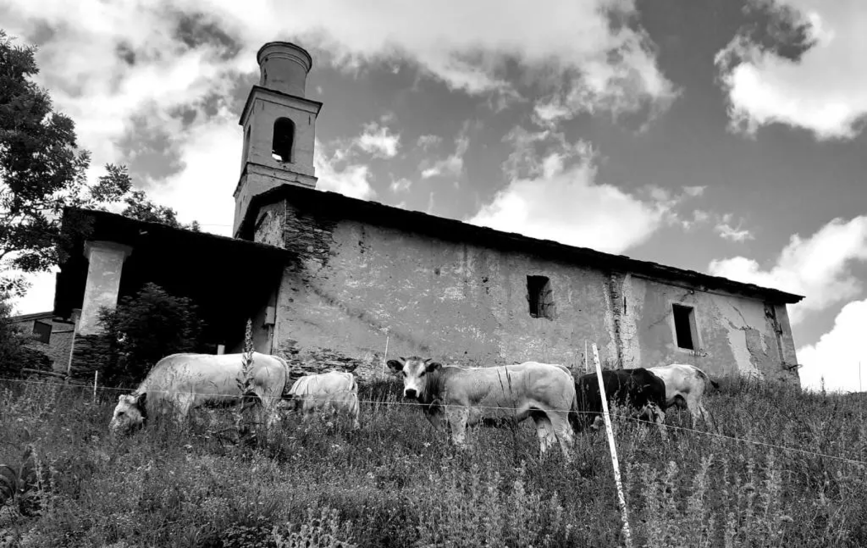 Agri-b&b Lou Col