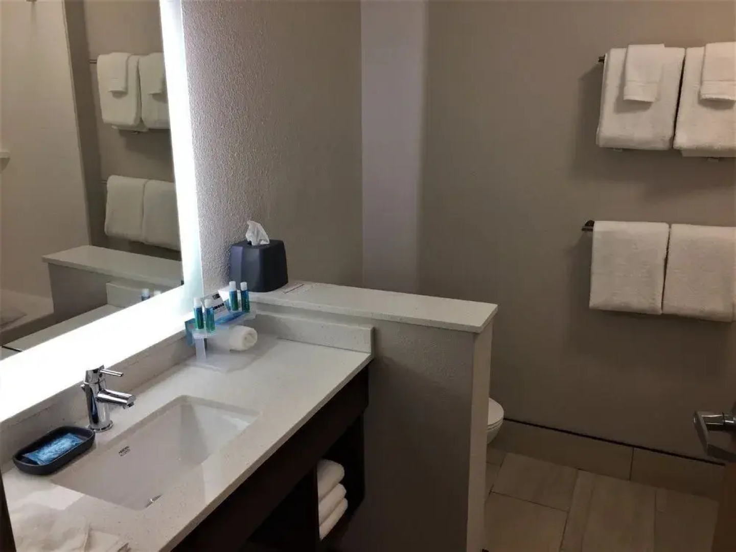Holiday Inn Express & Suites Danville