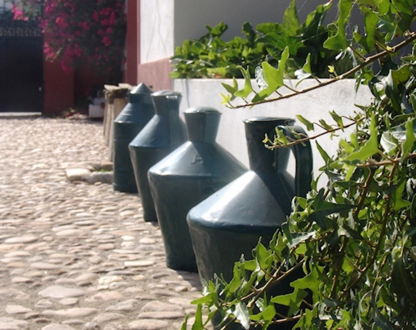 Pátio da Avó Faustina - Agroturismo