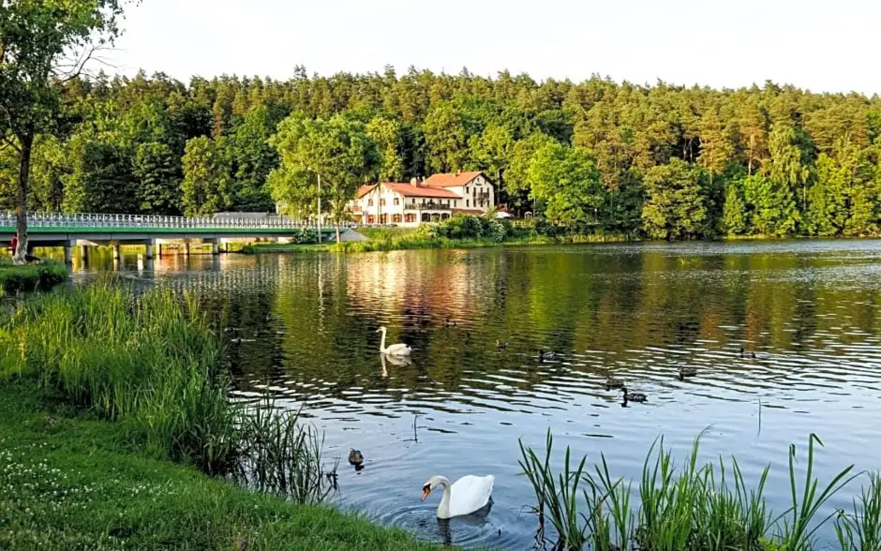 Przystanek Tlen