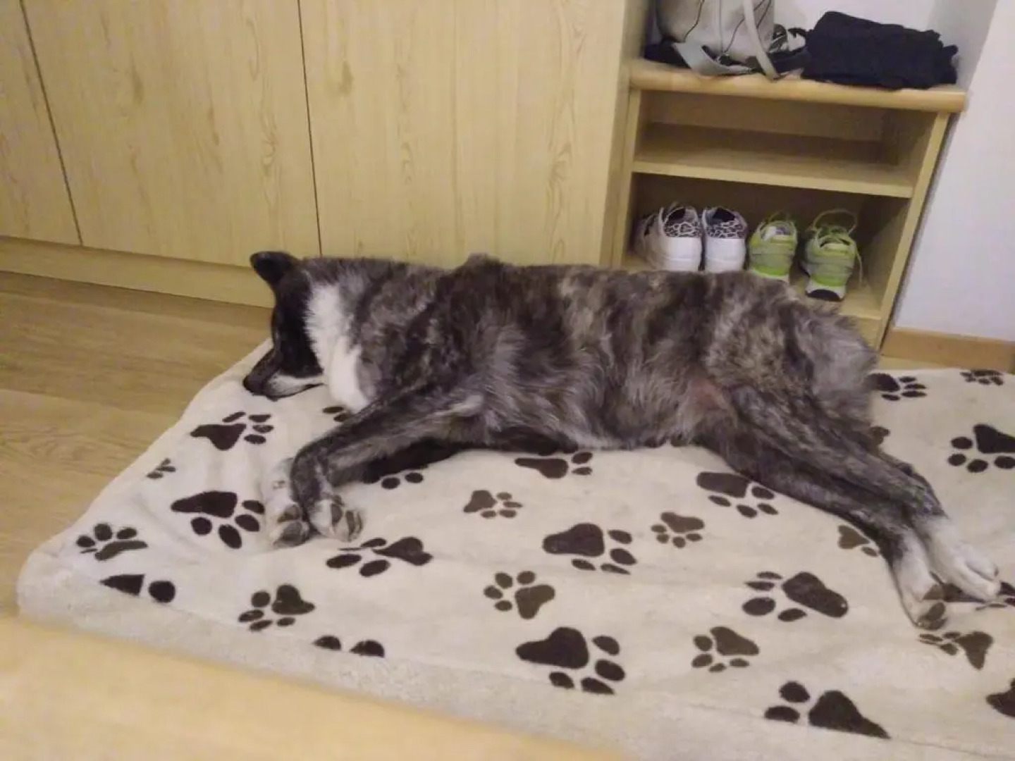 Alpine Touring Hotel