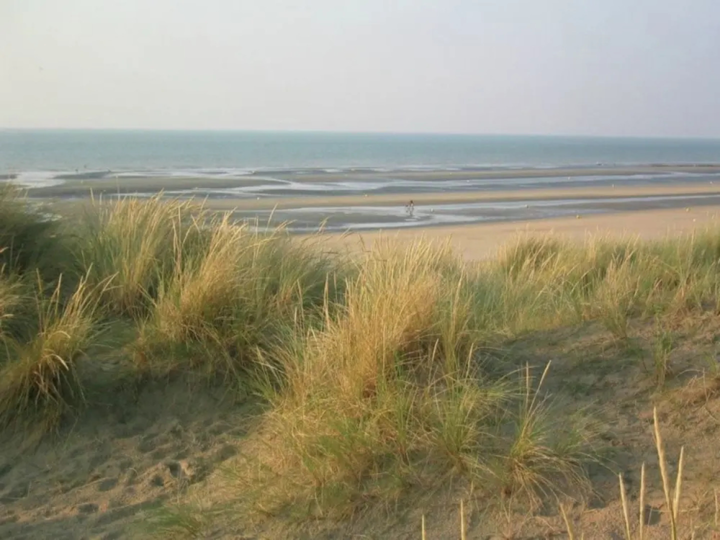 Modern beachside apartment in Bray-Dunes close to De Panne