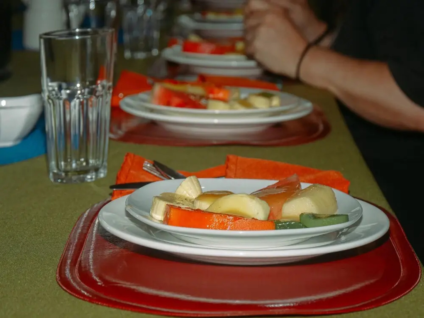 Birdwatchers House y Lodge