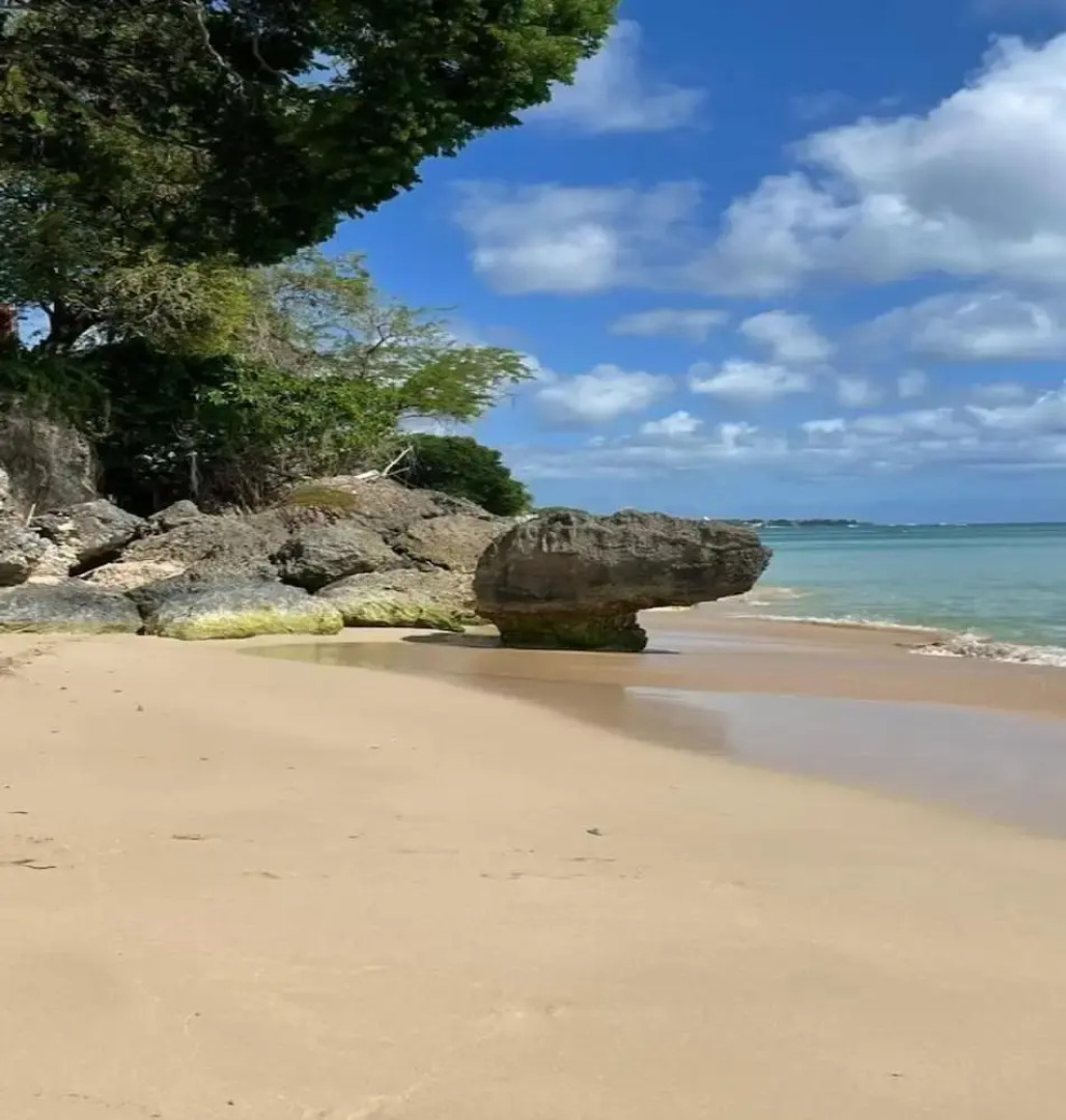 Villa Francoise - 4 Bedroom Beachfront w Pool