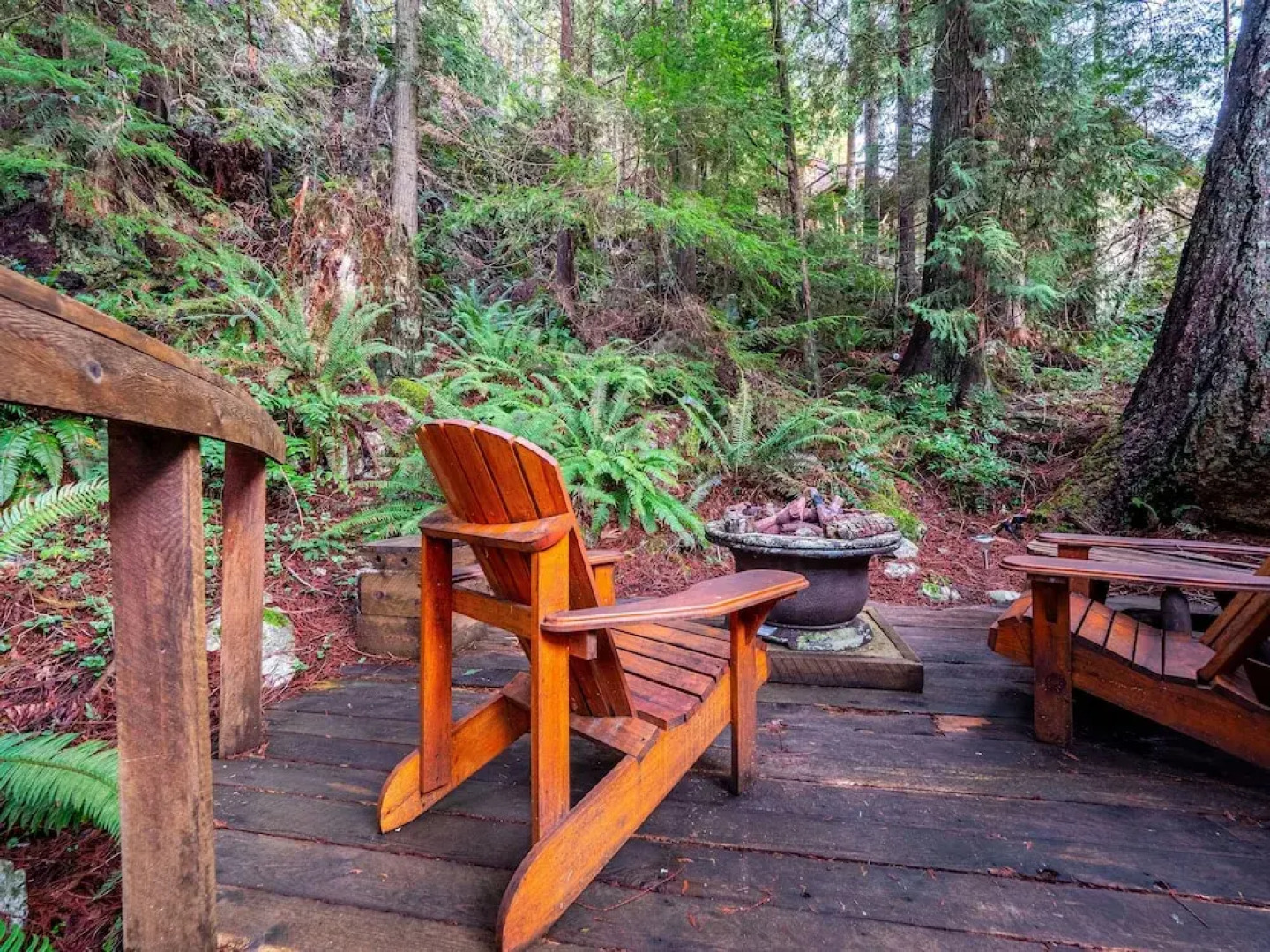 The Tree House Cottage