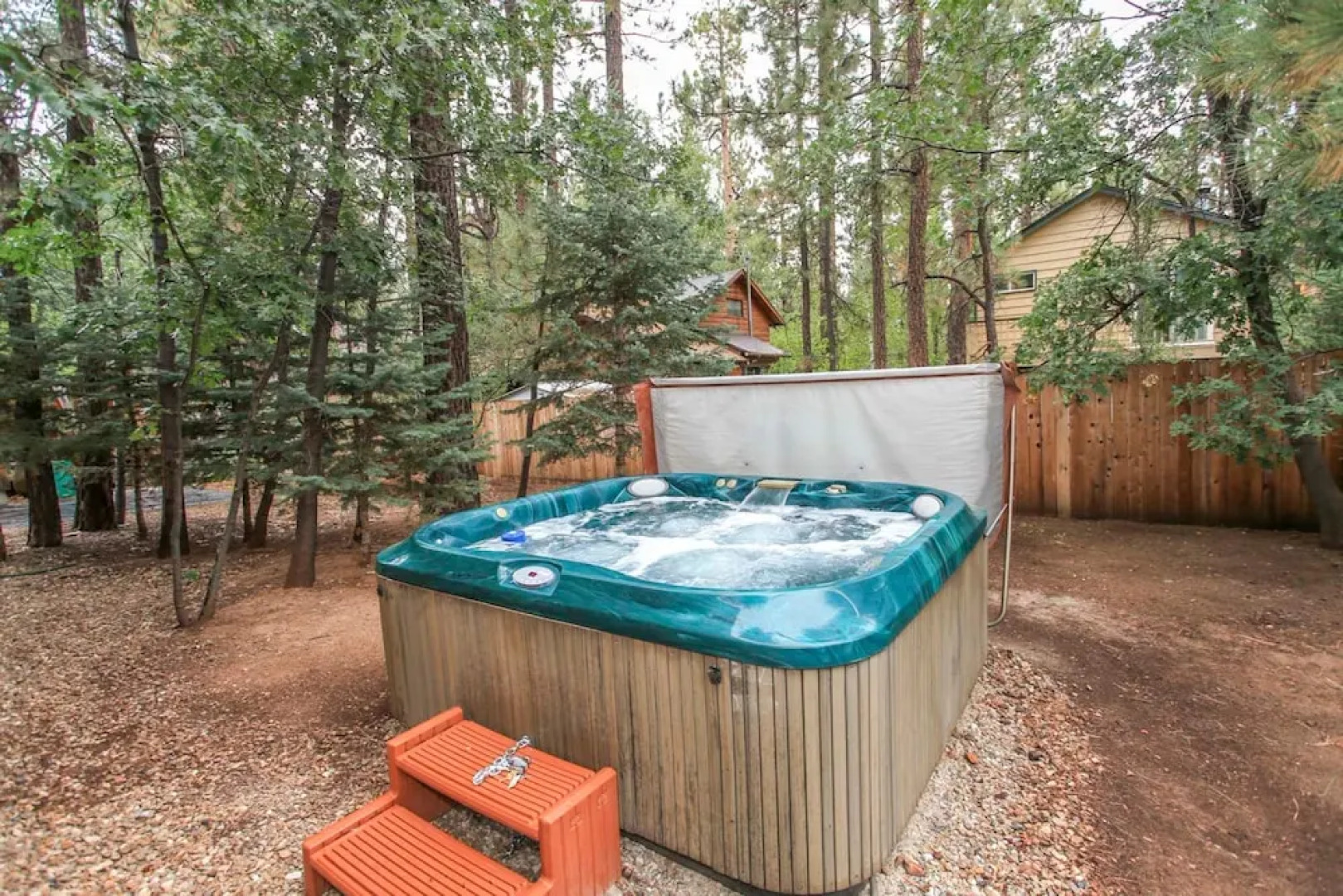 Two Tickets to Bearadise