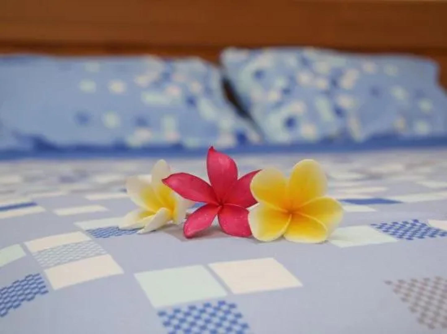 Timbis Homestay Bali