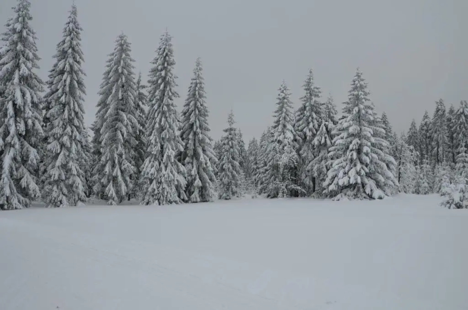 Apartmány Agáta Abertamy