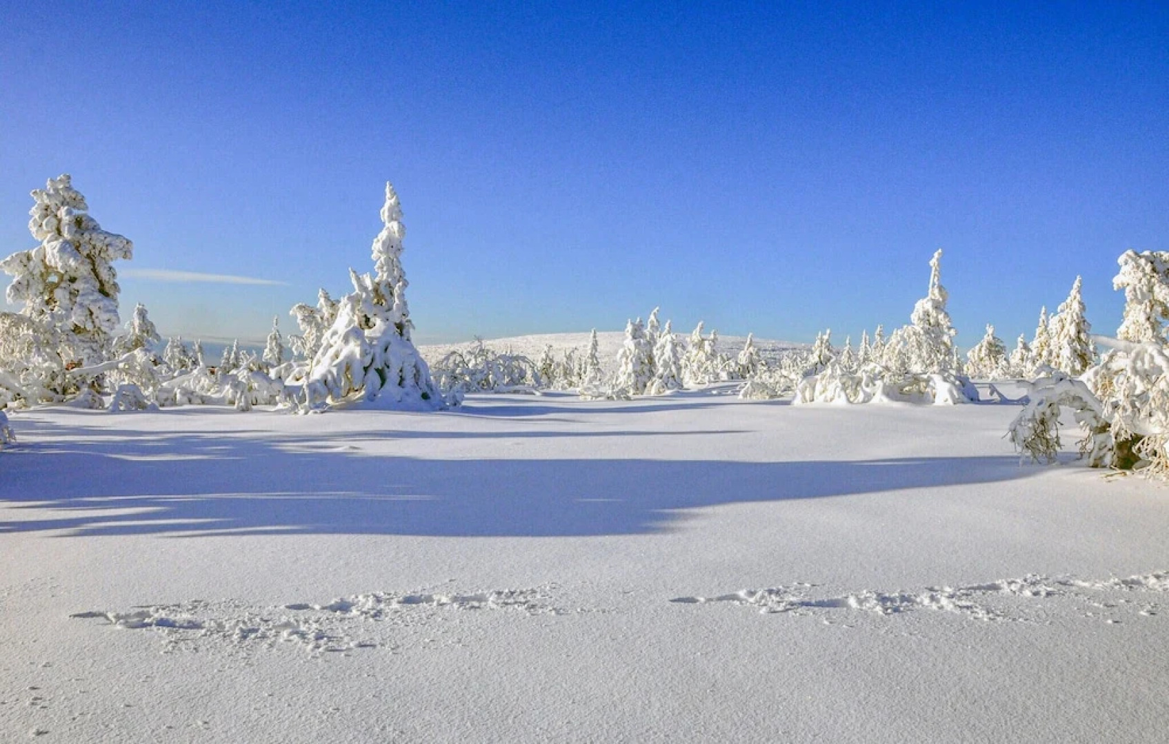 Amazing Home in Sälen With 3 Bedrooms and Sauna