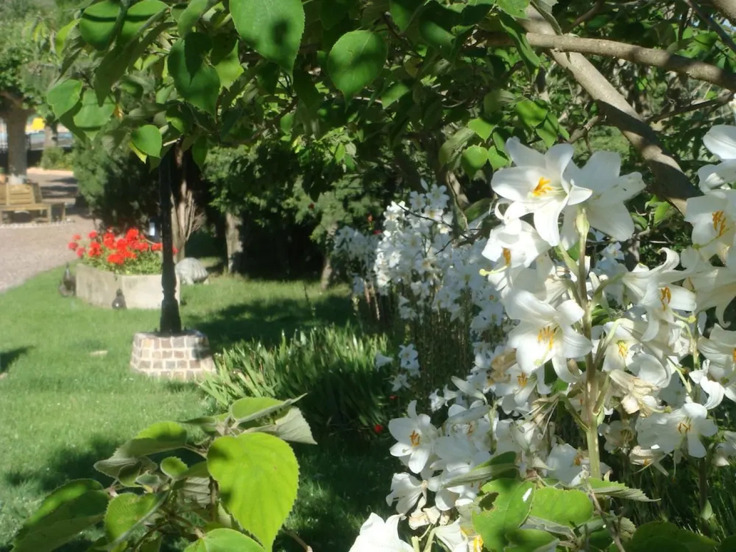 Villa With 2 Bedrooms in Saint-martin-de-pallières, With Wonderful Mou