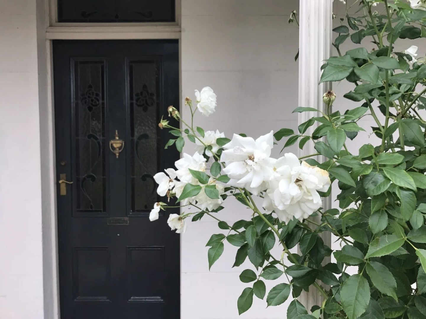 Ardenlee - Rejuvenate Stays