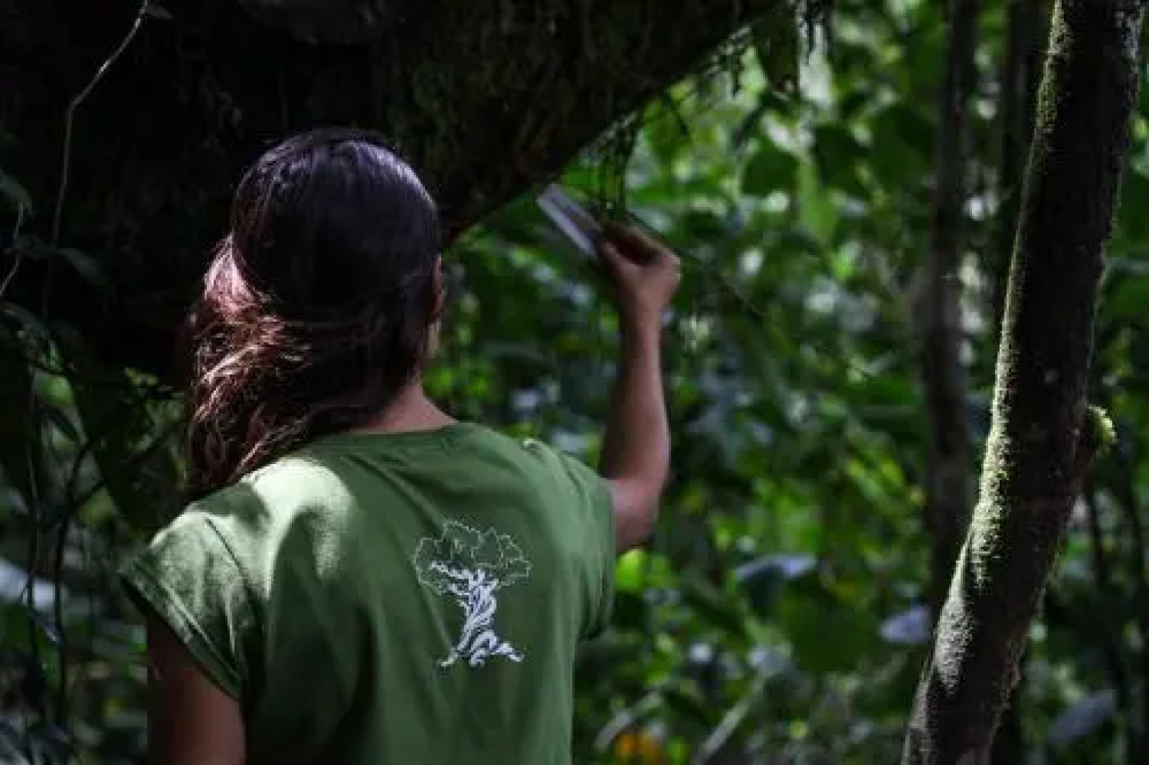 El Abrazo del Arbol - Farm Eco Lodge
