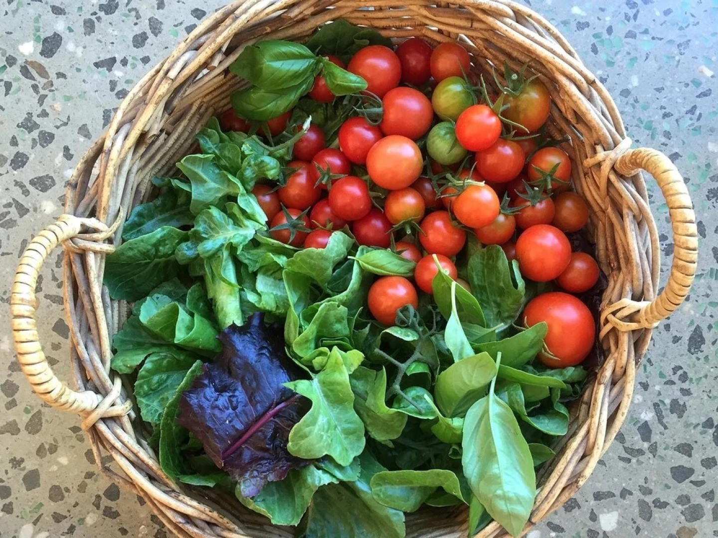 The Chocolate Lily B&B