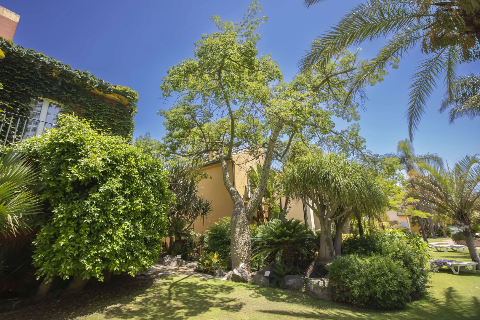 Apartamentos Soho Boutique Vistahermosa