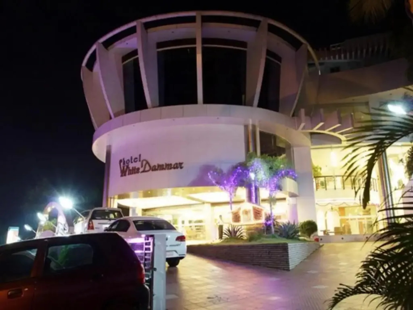 White Dammar International