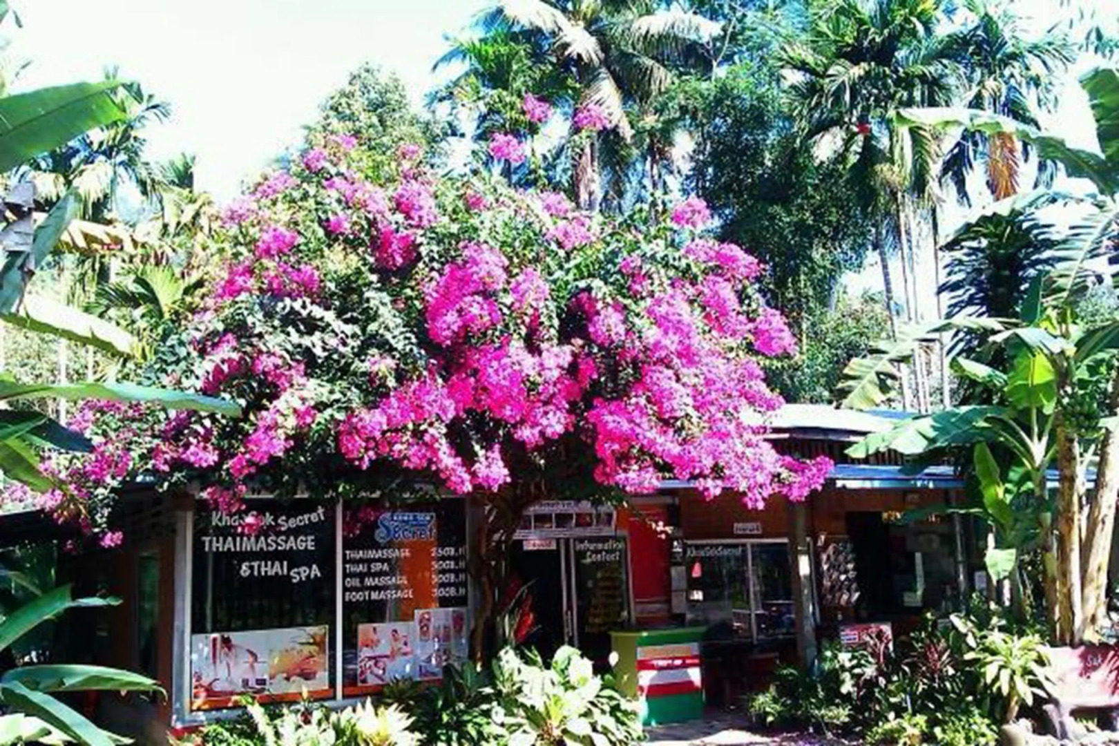 Khao Sok Secret - Hostel