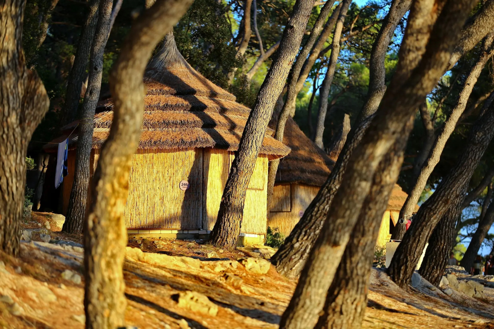 Pine Beach Pakostane - All Inclusive light