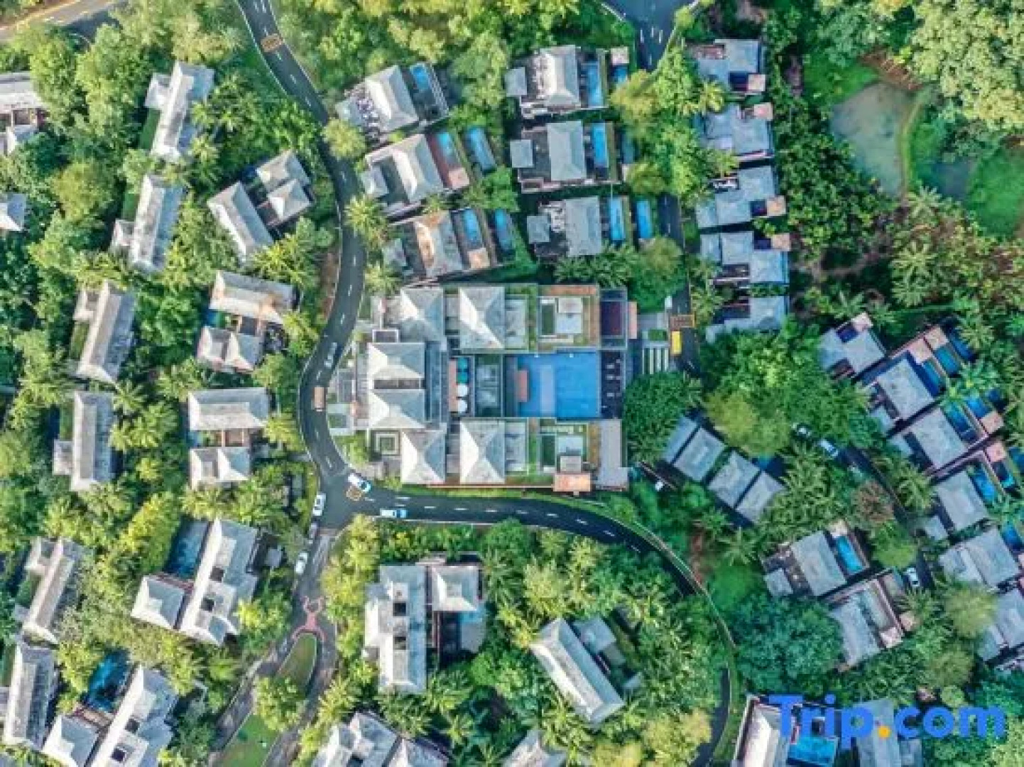 Blonsay Tropical Rainforest Resort Hotel