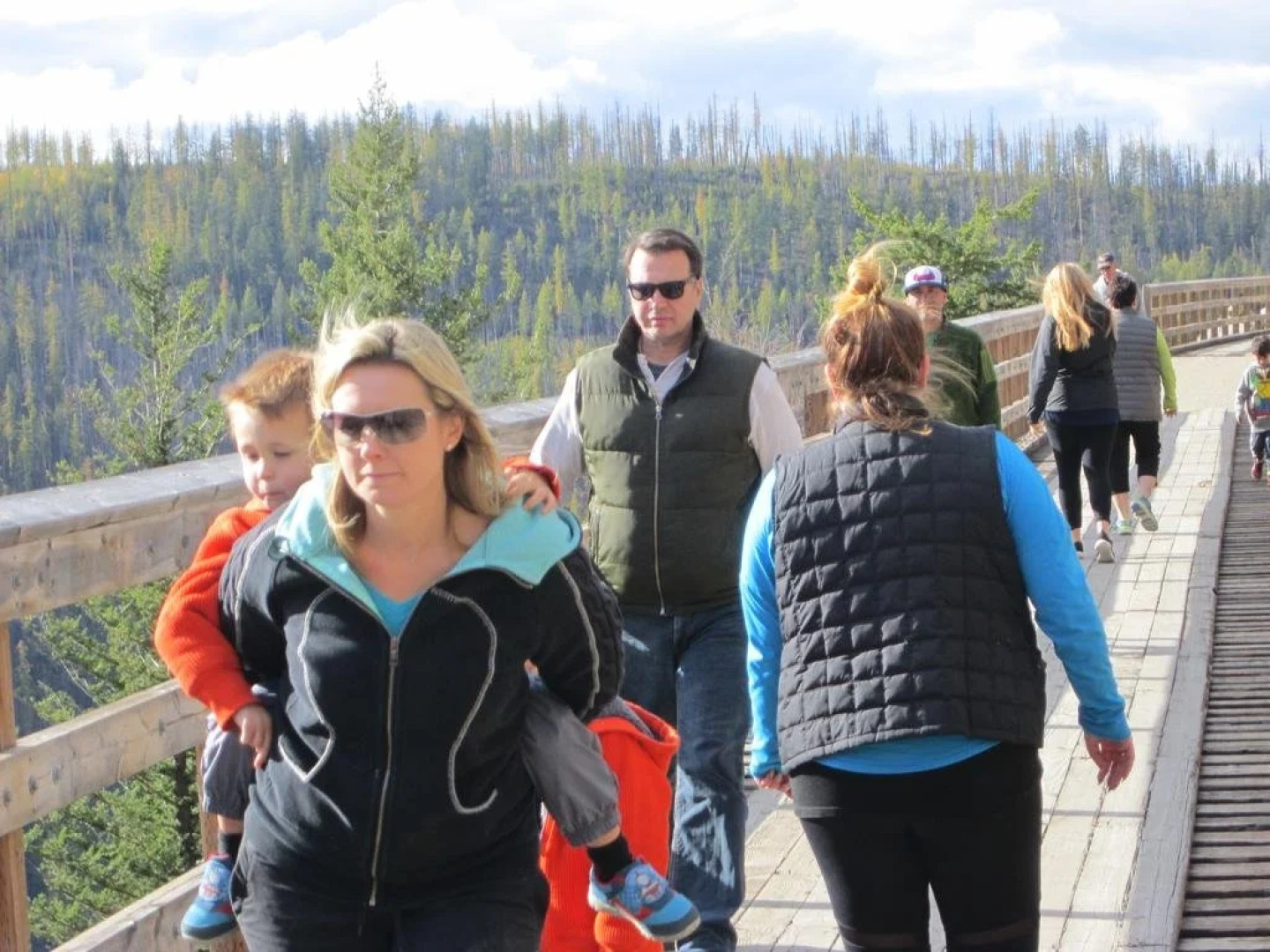 WineDownHere - Lic. 75806