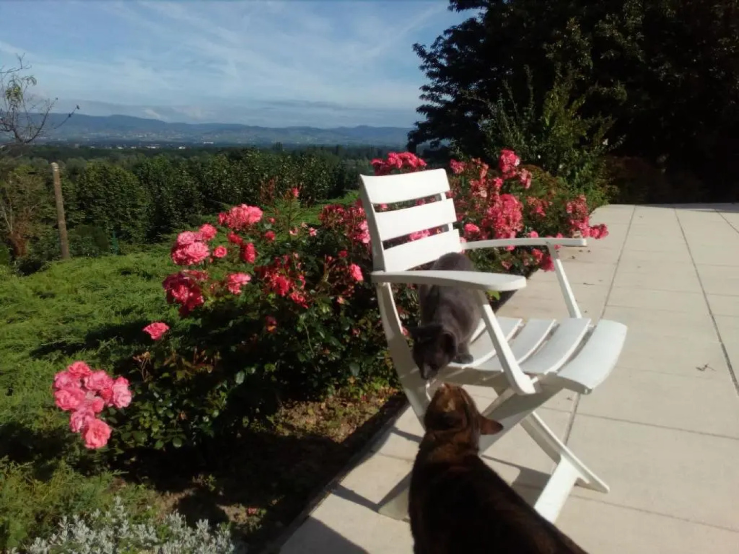 B&B Chez Frederique Et Norbert