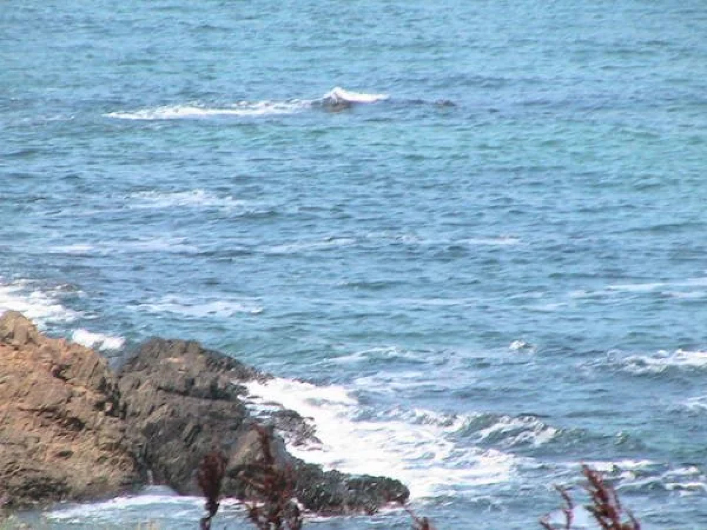 Blue Summer Guest House