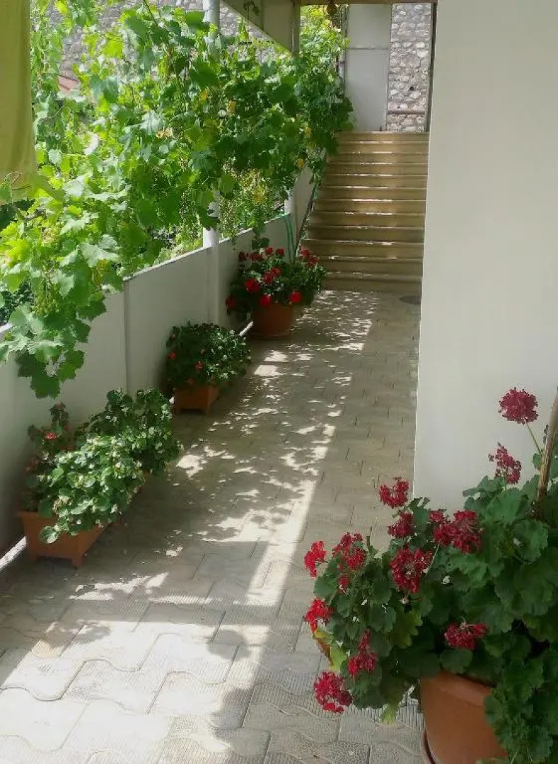 Abramichi Guest House