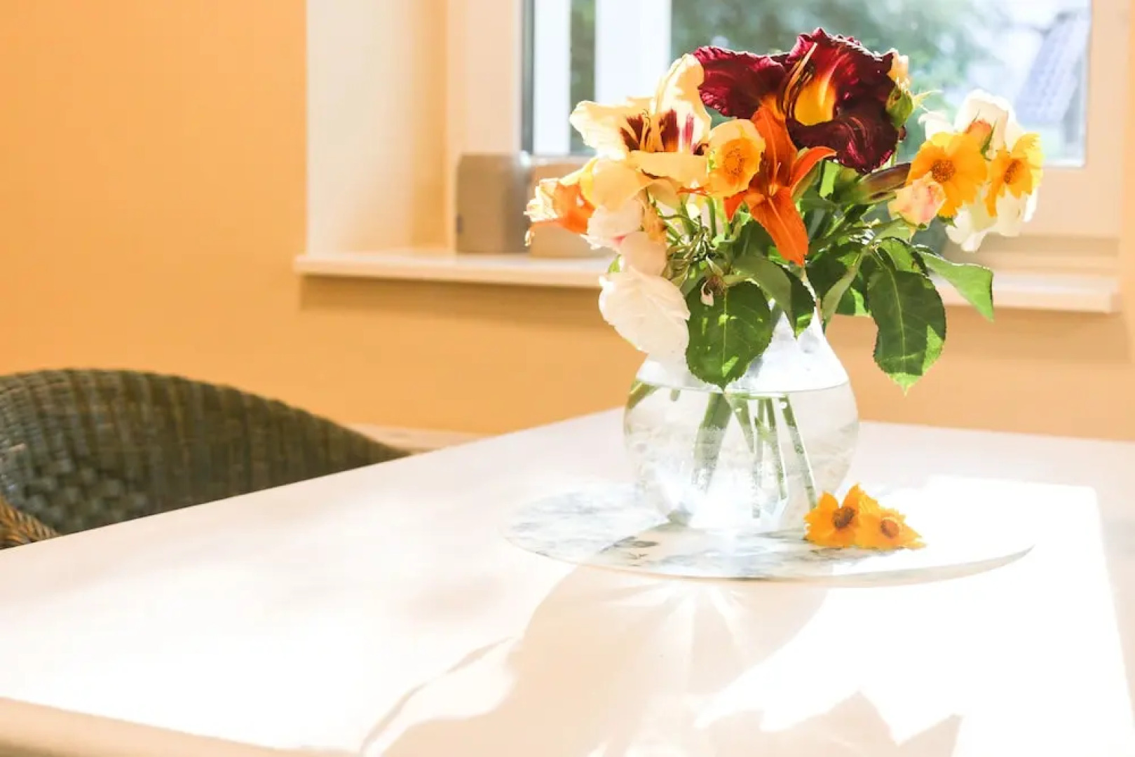 Ferienidyll am Wentowsee