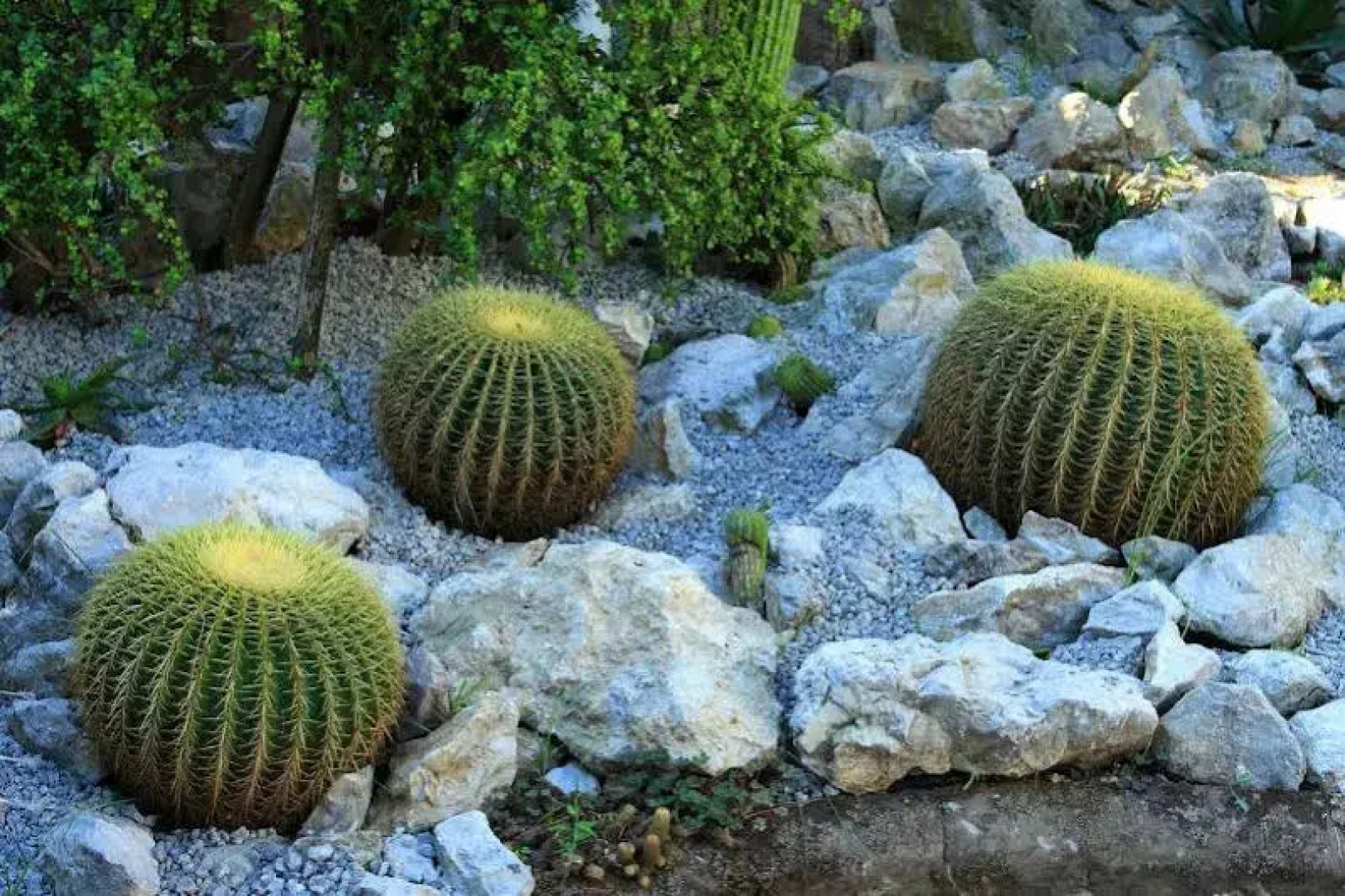 Villa Dei D’Armiento