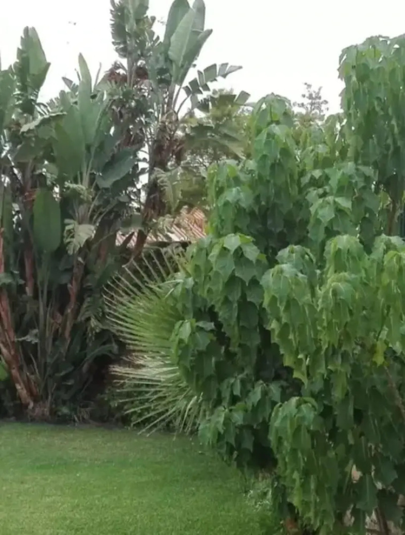 Studio in La Cala del Moral, With Pool Access and Wifi - 200 m From the Beach