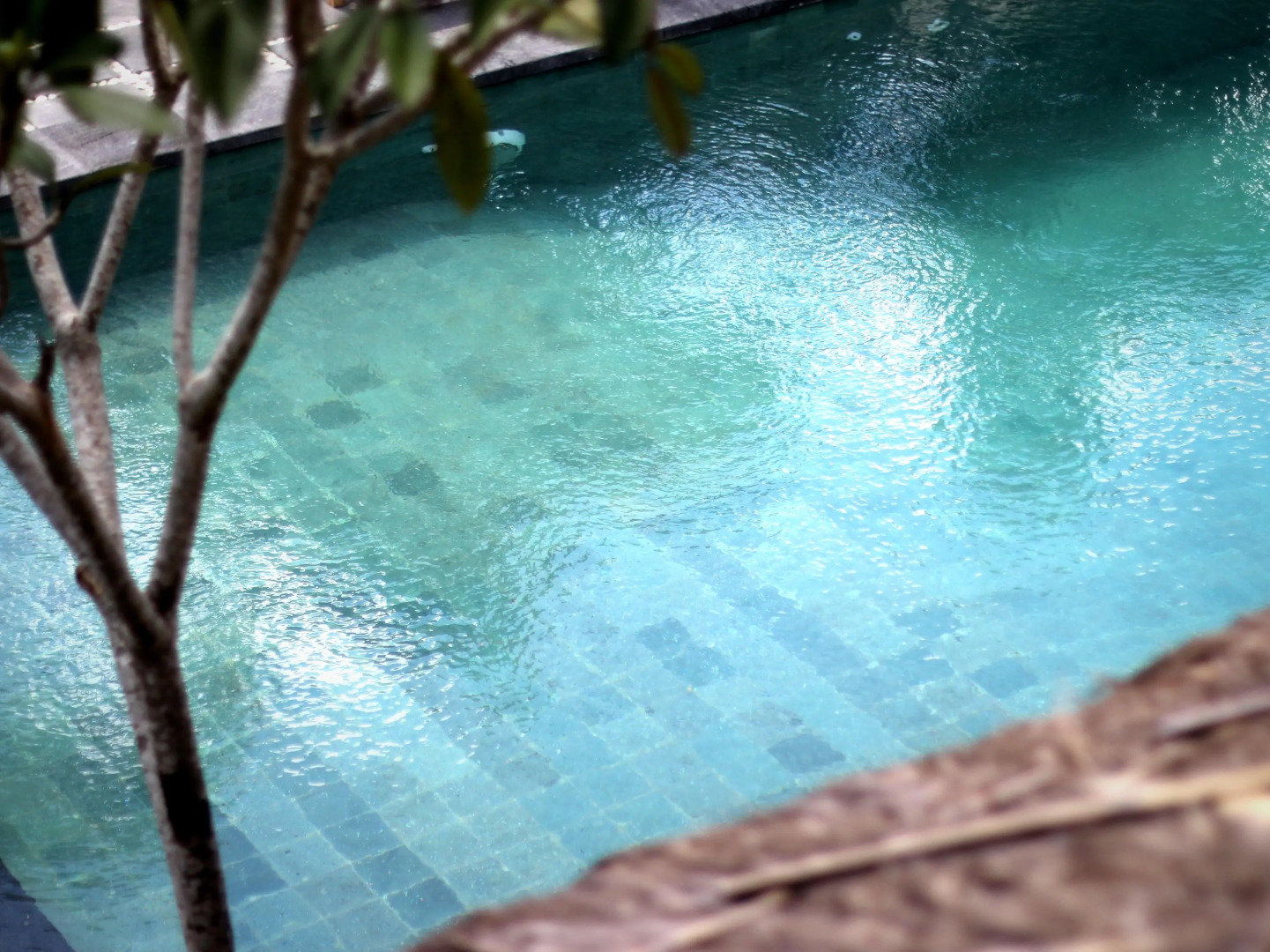 The Calmtree Bungalows