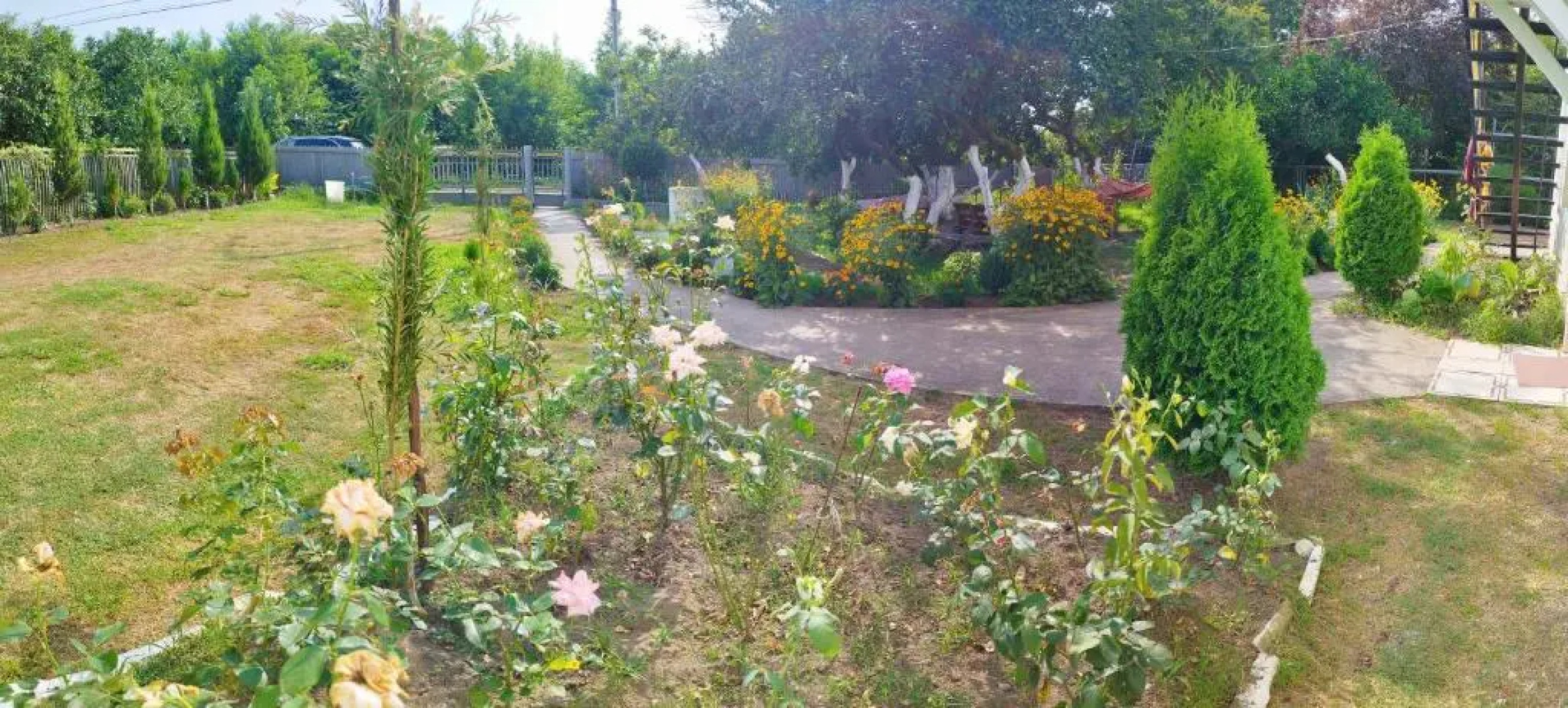 Guesthouse Flora Anaklia