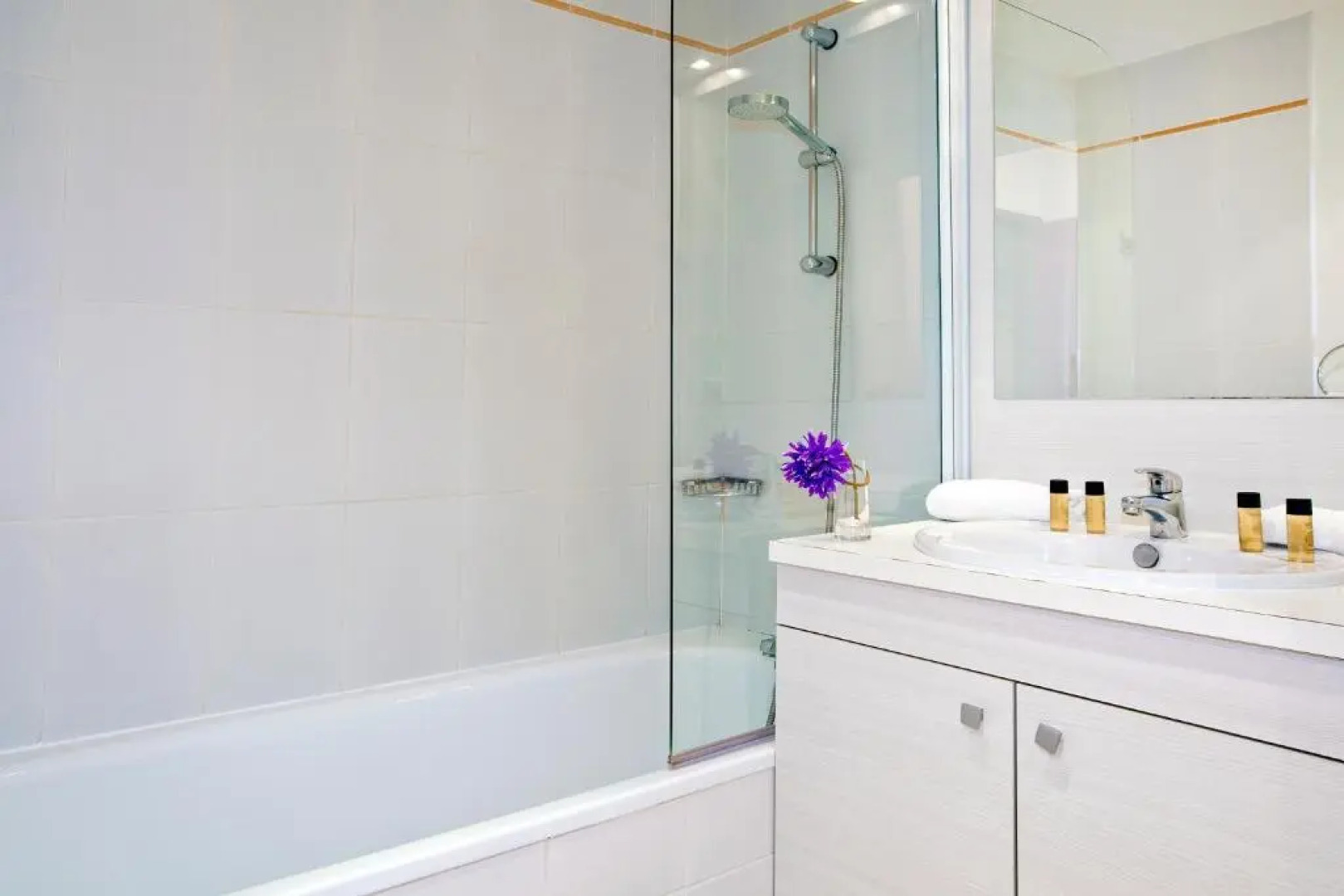 Séjours & Affaires Gex Les Rives du Leman