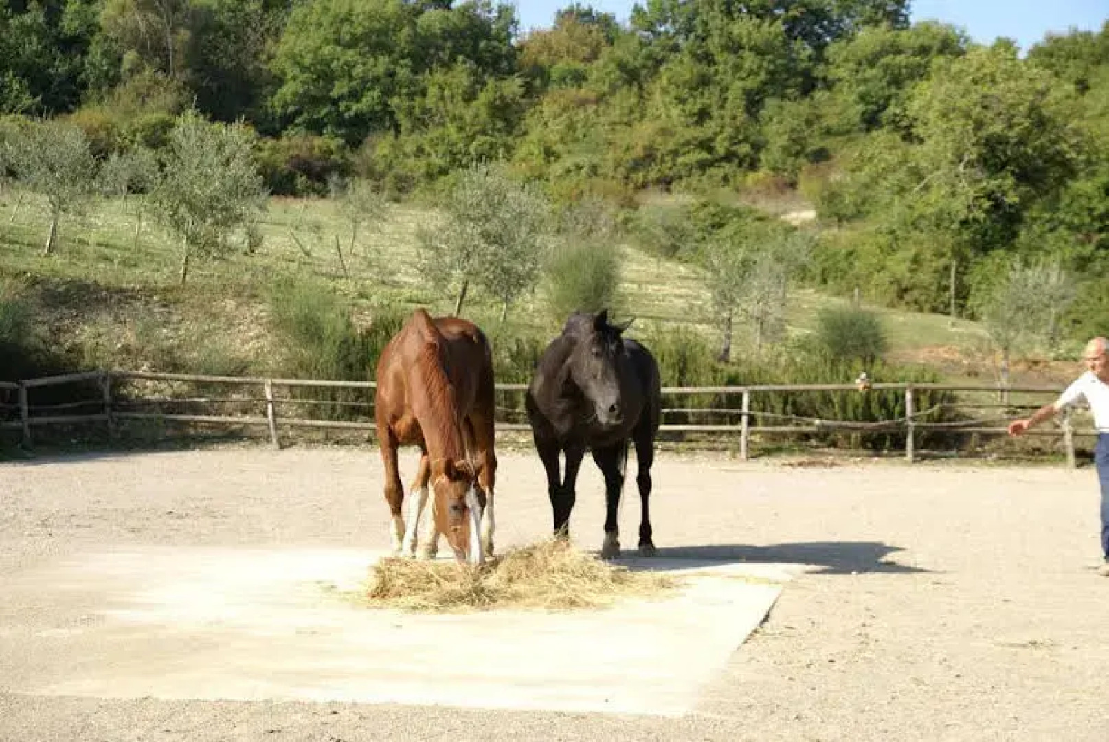 Agriturismo Le Novelle