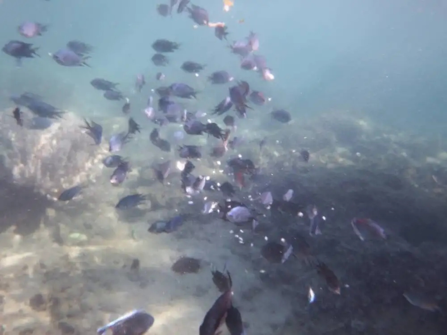 Santo Seaside Villas