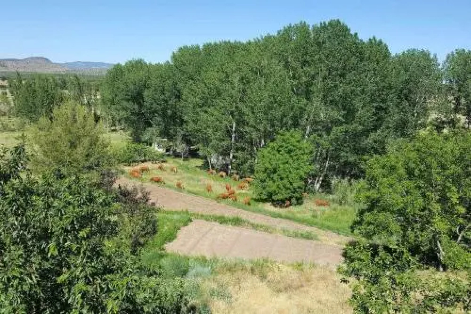 Apartamentos Turisticos Sanahuja