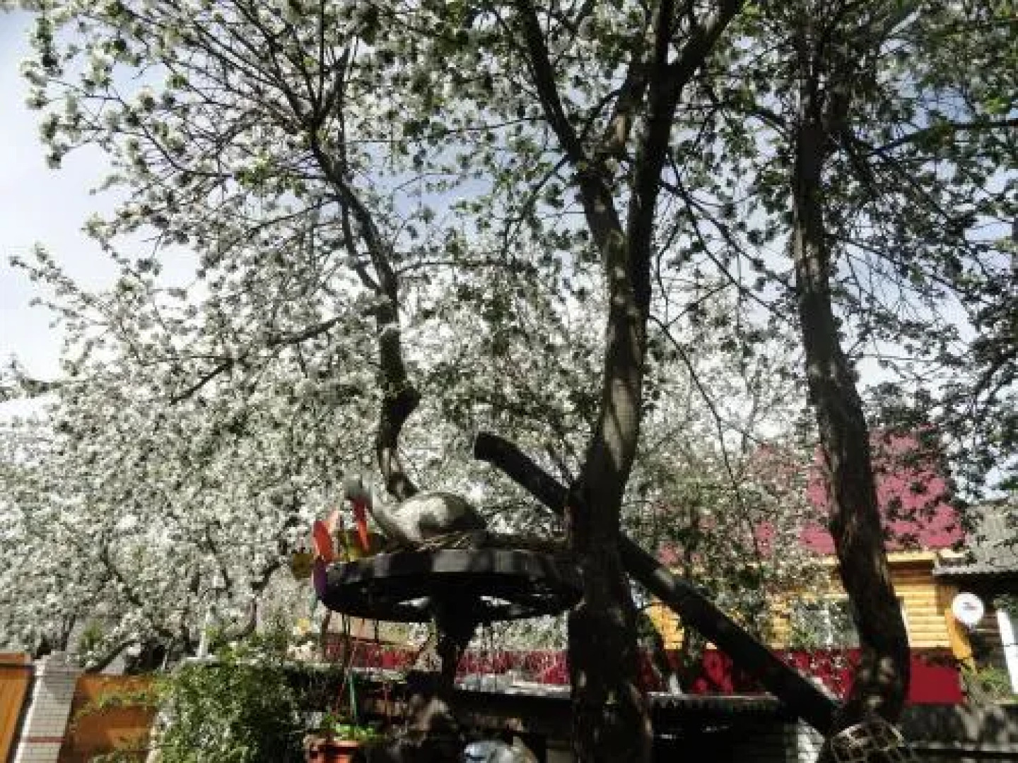 Гостевой дом Суздаль - Терем