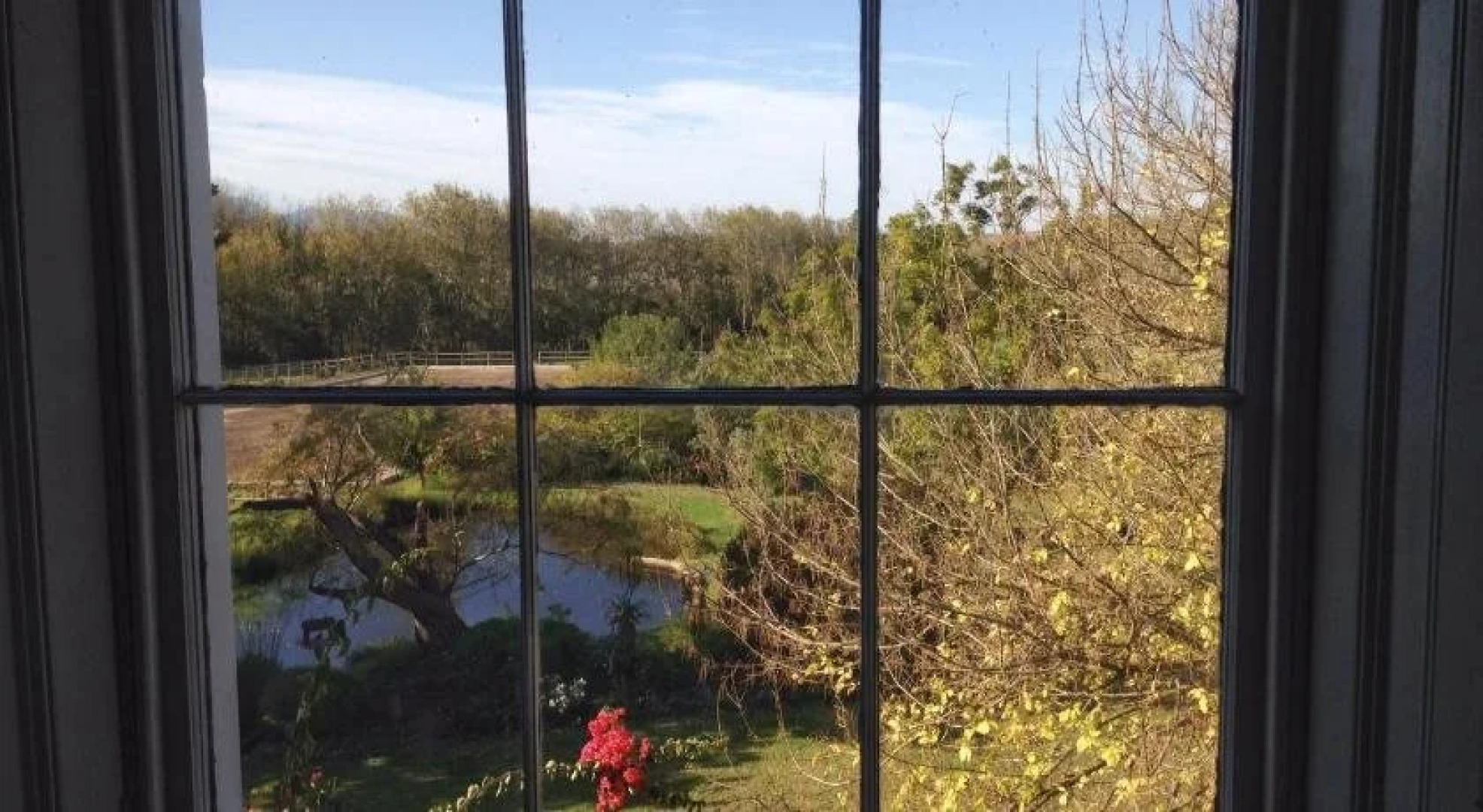 Sleeping Beauty Guesthouse