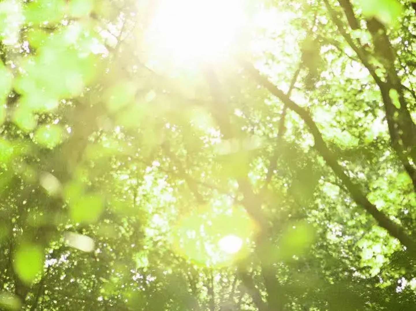 TI AL LANNEC Hotel Restaurant & Spa