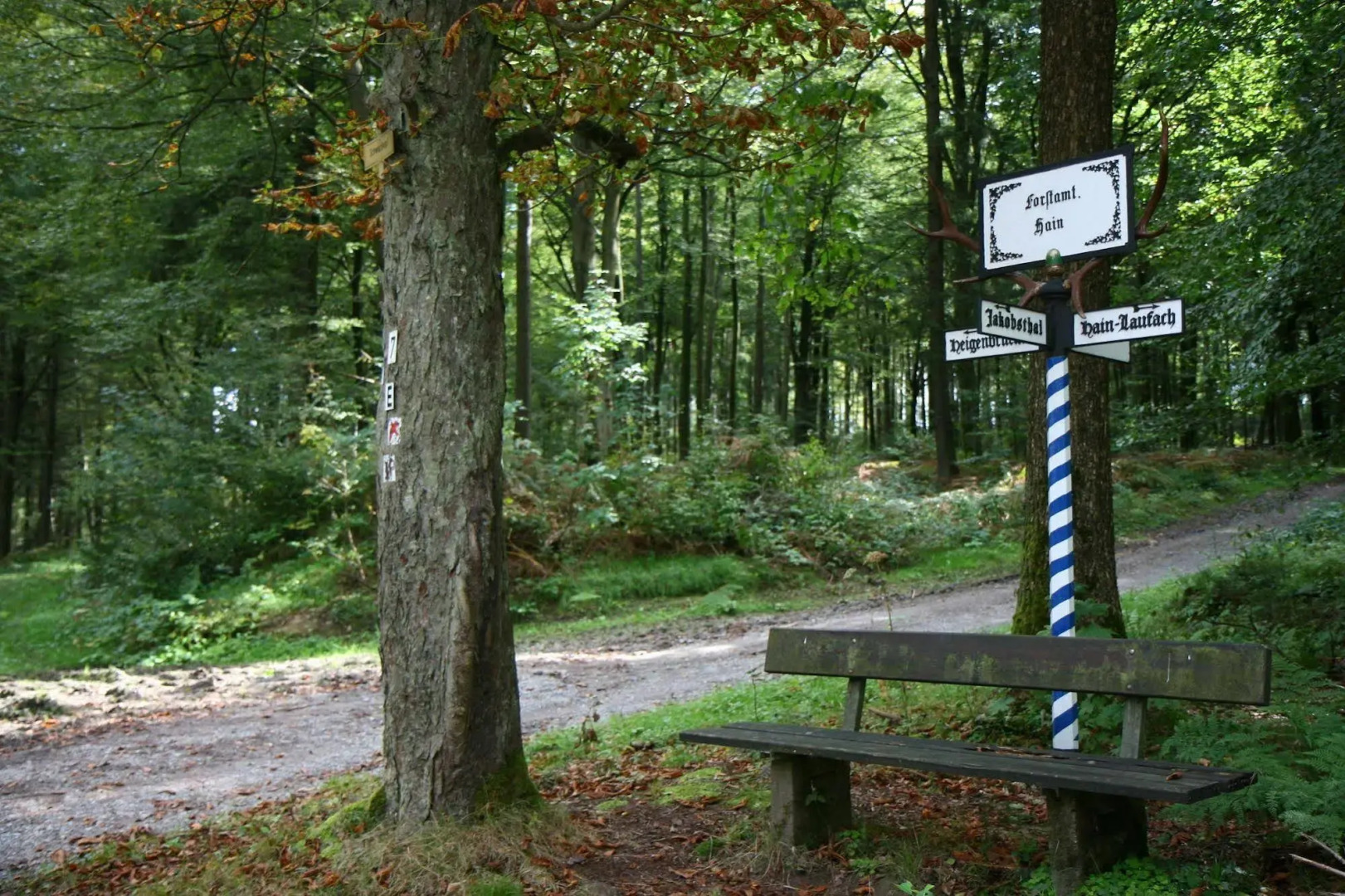 Flair Hotel Hochspessart