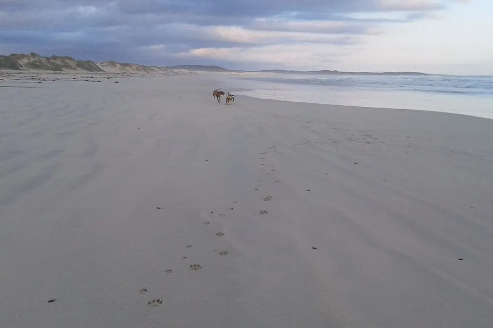 Franskraal Collection